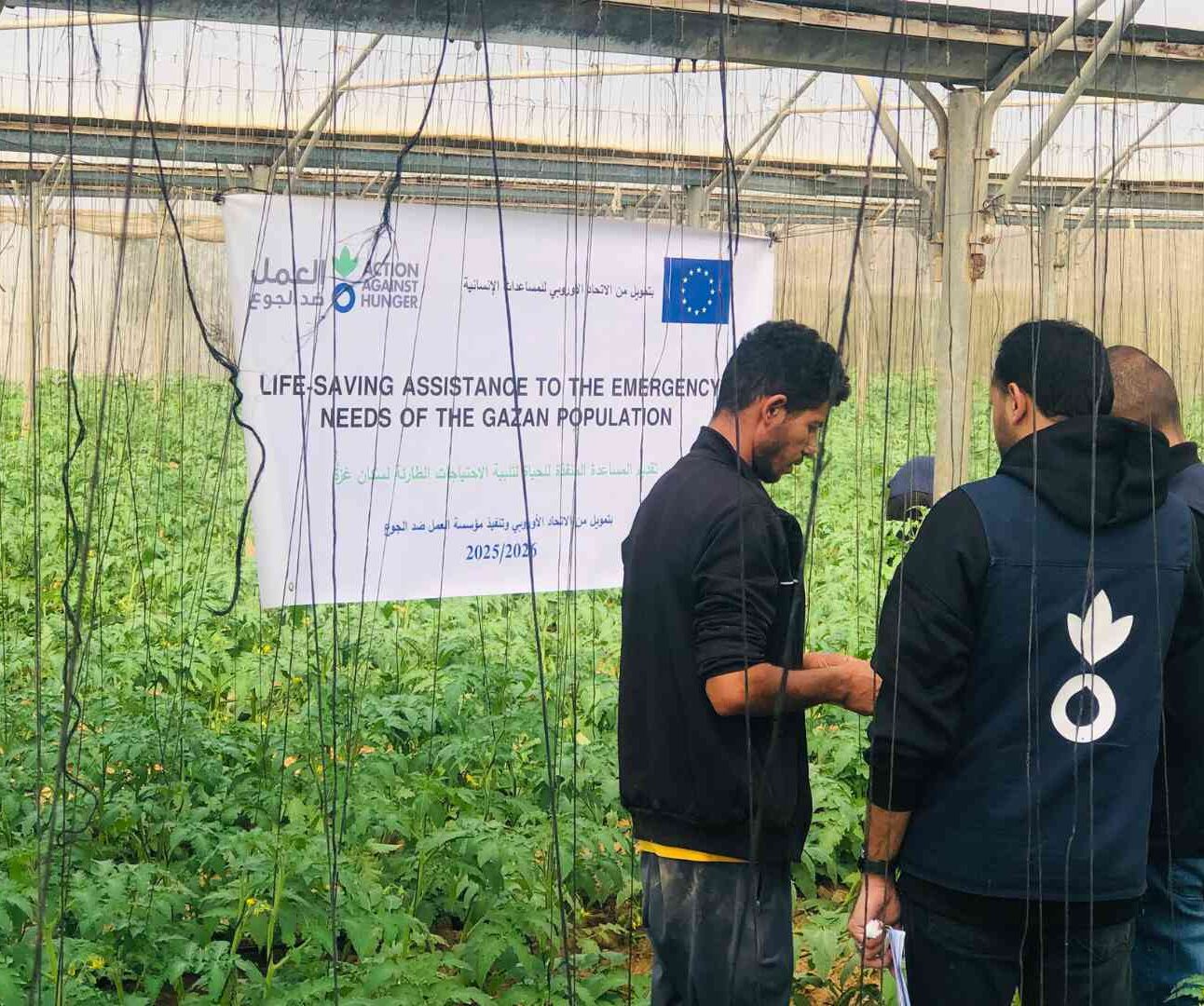 Gaza team aiding livelihoods for farmers.