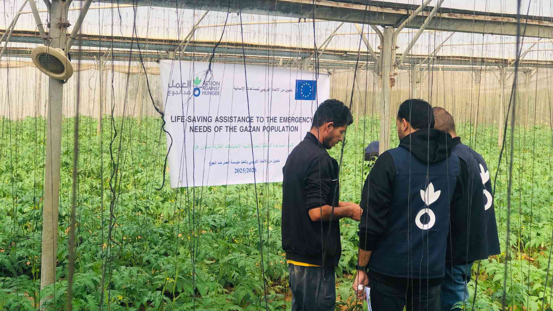 Gaza team aiding livelihoods for farmers.