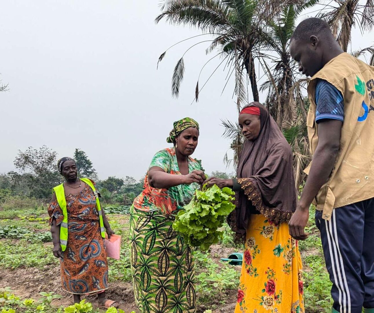 An Action Against Hunger livelihoods programme in Cameroon.