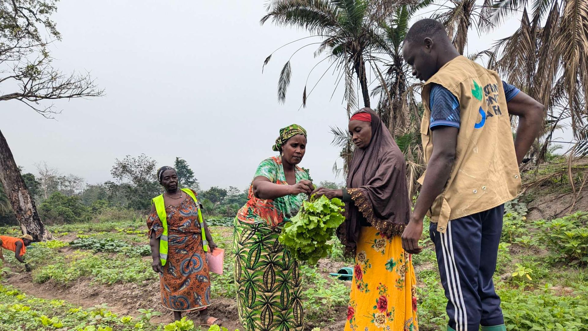 An Action Against Hunger livelihoods programme in Cameroon.