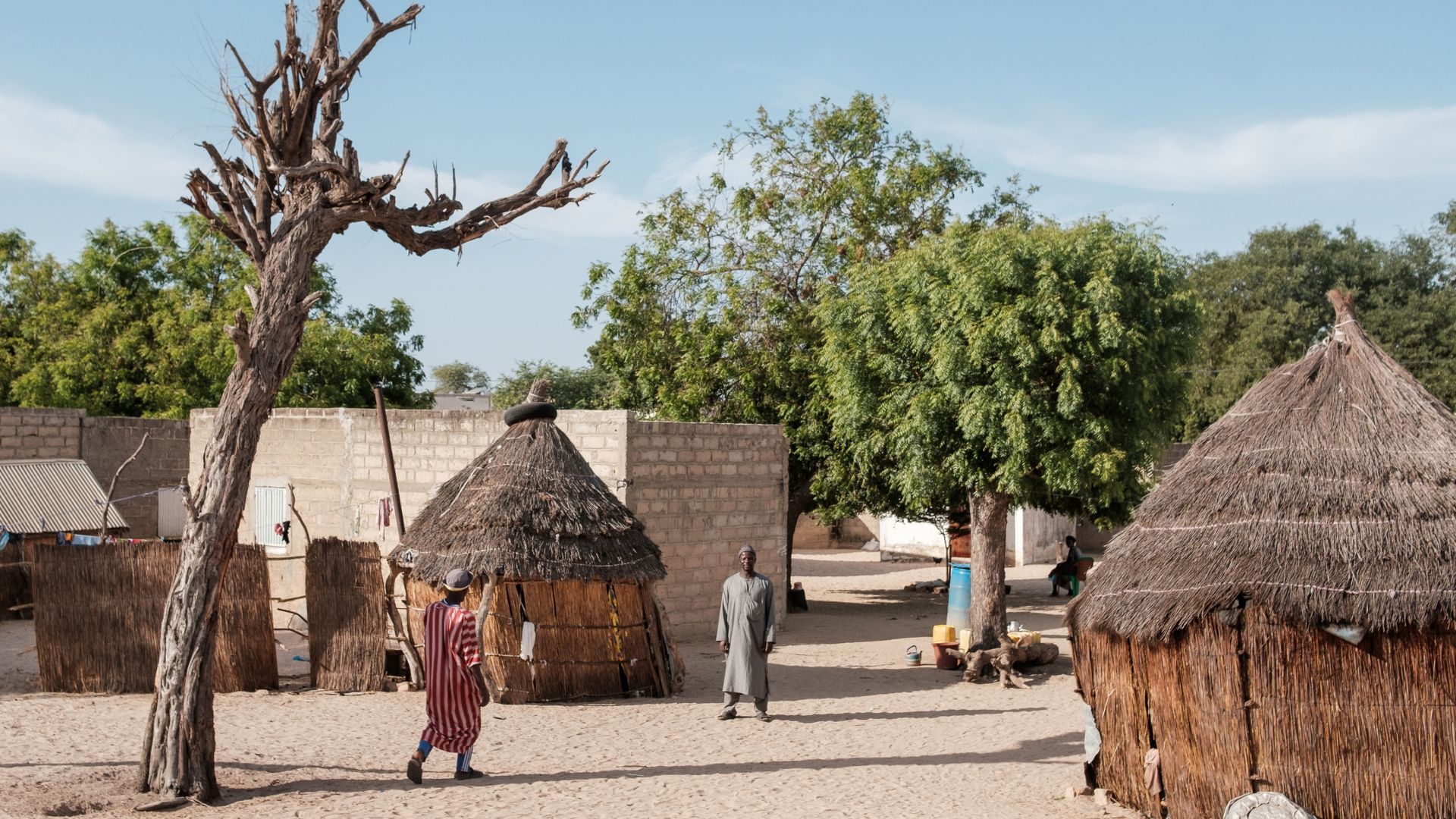 A photo of a village in Senegal supported by Action Against Hunger.
